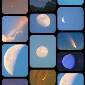 Meet your Posher, Kylee